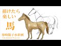 描けたら楽しい馬 春崎陽子 warercolor
