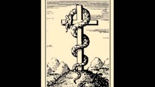Vatican Shadow | Unknown To The Peacock The Serpent And Scorpion Conspire [Hospital 2011]