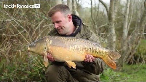 Tackle Fanatics TV- Korda Bait-Up Method Feeder