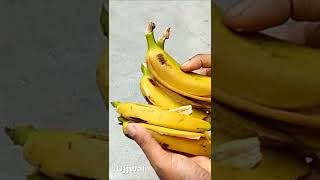 Banana peel fertilizer for any plants #shorts