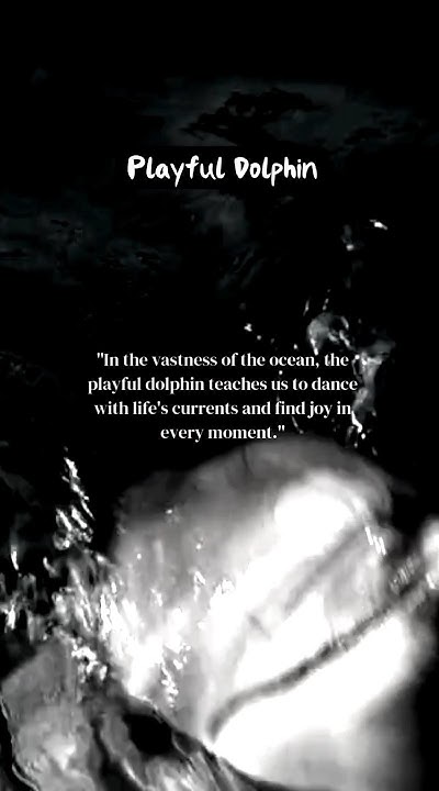 Playful Dolphin What Lesson Does The Dolphin Teach Us youtubeshorts what-lesson-does-the-muslim-ummah-learn-from-the-battle-of-karbala