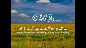 🤍ووهبنا لداود سليمان🌼نعم العبد إنه أواب✨ سورة ص:٢٩-٣٣|إسلام صبحي|Surah Saad:29-33|Islam Sobhi