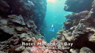 Tauchen im Roten Meer, Marsa Alam