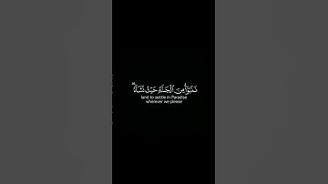 ما تيسر من سورة الزمر | القرآن الكريم | القارئ ياسر الدوسري | كروما