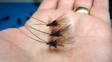 Tying a Long Hackle Caddis Alder by Davie McPhail