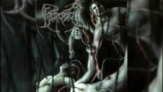 Beheaded - 'Recounts of Disembodiment' [Full album]