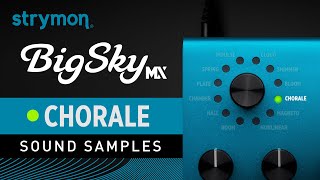 Strymon BigSky MX | Sound Samples | Chorale Reverb