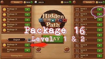 Roll the ball Hidden path ||  Expert package 16 || Level 1 || level 2 || All Level