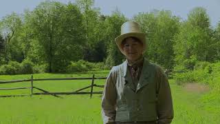 Three Agricultural Crazes of the 1830s
