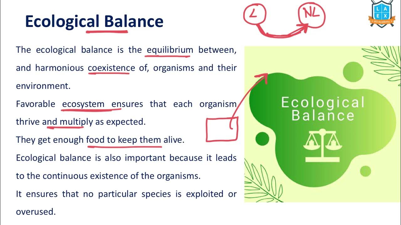 ecological balance essay
