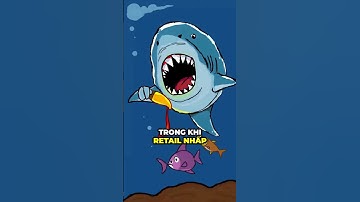 Tập 580: Tại sao cá mập luôn im lặng trước khi tấn công