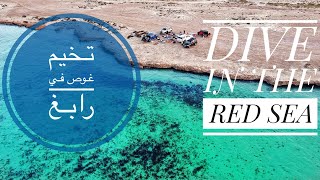 تخيم وغوص في بحر رابغ بالبحر الأحمر Diving in Rabigh, western Saudi Arabia