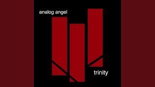 No Goodbyes - Analog Angel