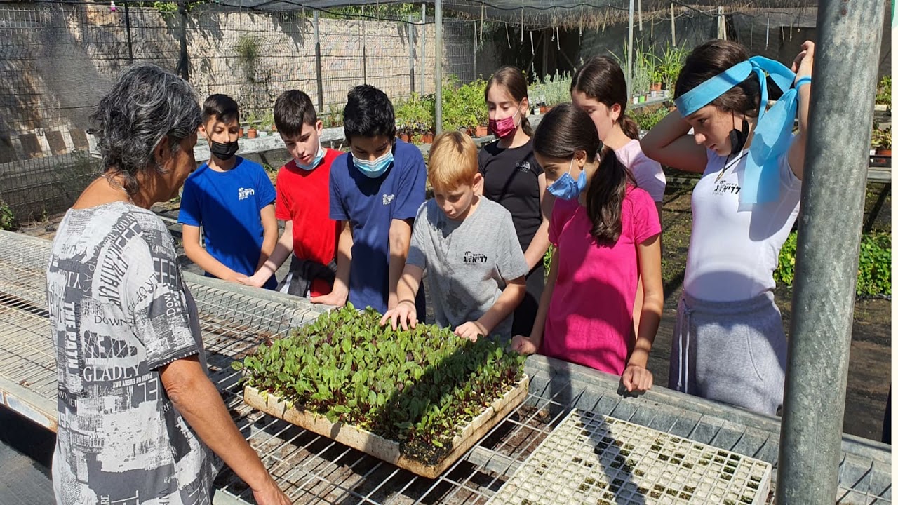 תוצרים במדעים בית ספר  לדיאלוג נווה דקלים