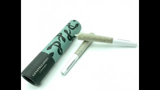 Jungle Punch x Jungle Punch Hash Infused Pre-Roll Review Ft. Constellation Cannabis