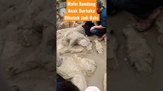 MALIN KUNDANG ANAK DURHAKA DIKUTUK JADI BATU
