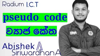 pseudo code episode 01 News
