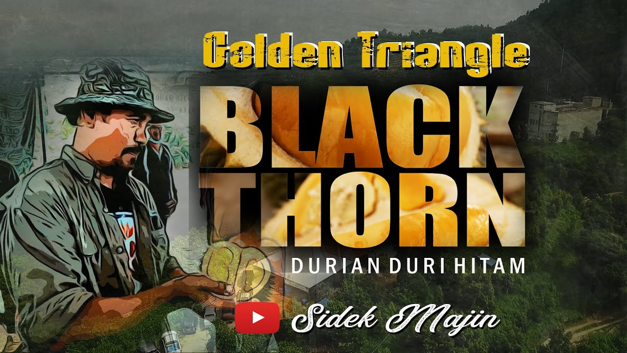Golden Triangle - The Black Thorn . Durian Duri Hitam