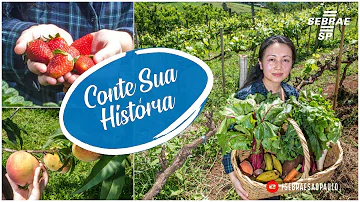 Como ocorre o plantio orgânico?