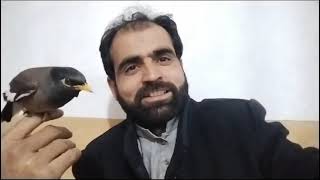 siraj ahmad parwana  sahib sap bo shli korum kosan Allah tatn badla dyar la
