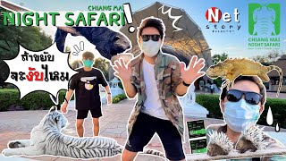 เชียงใหม่ ไนท์ซาฟารี | ChiangMai Night Safari นั่งรถชมสัตว์ตอนกลางคืน