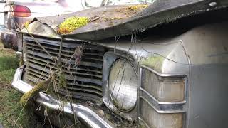 1971 Chevelle SS In A Oregon Junkyard!