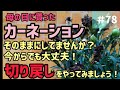 #78 母の日に貰ったカーネーション！そのままにしていませんか？今からでも大丈夫！切り戻しをやってみましょう！