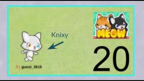 Meow Playground Gameplay #20 - PLAYING AS A GUEST!