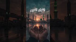 Quran recitation in urdu translation 🕋#quran #quranictranslation#love #quranrecitation #motivation