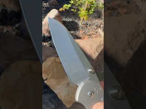 Sebenza Sunday: Large 31 Insingo