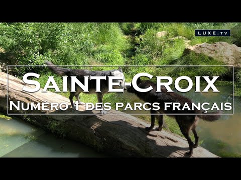 Parc de Sainte-Croix - Nature et animaux sauvages - LUXE.TV