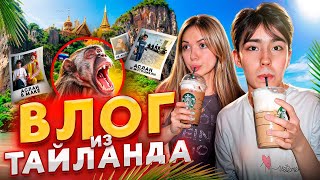 ЗАРАЗИЛСЯ БЕШЕНСТВОМ? ВЛОГ ИЗ ТАЙЛАНДА // Аслан Шукаша, Sleepy