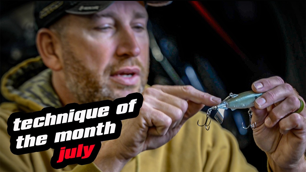 Technique of the Month I July | Chasing Shade