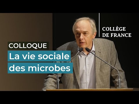 Journée François Jacob : La vie sociale des microbes - Colloque