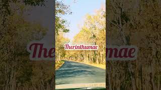 #travellingvlog#lovesong#reels#melody#tamilshortsviral#kadhaipoma#trendingshorts#ride