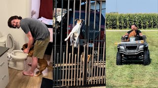 Celebrity Overdramatic Dogs Who Deserve An Oscar 😁 Profile