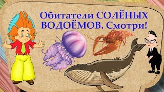 Обитатели СОЛЁНЫХ ВОДОЁМОВ ☛ Кто и какие они?