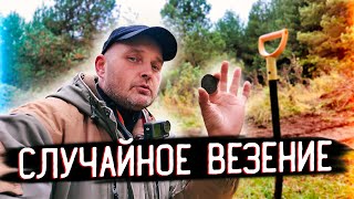 картинка: ТРАКТОР ОТКРЫЛ ТАЙНИК: НАШЕЛ РЕДКИЕ МОНЕТЫ НА ЛЕСНОЙ ДОРОГЕ!