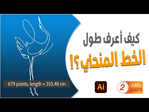 فيديو: هل لخط الأعداد مقياس؟