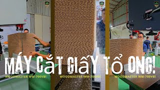 Cưa lọng bánh đà 700mm Woodmaster WM-700VB cắt giáy tổ ong, cắt gỗ, cắt nhôm...