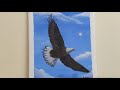 Acrylic painting of Flying Eagle