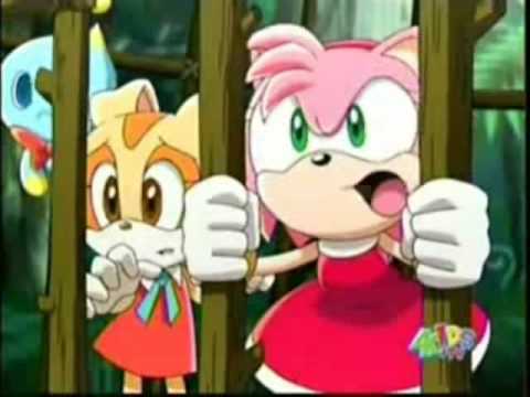Amy Rose: Best Damn Thing! (: request :)
