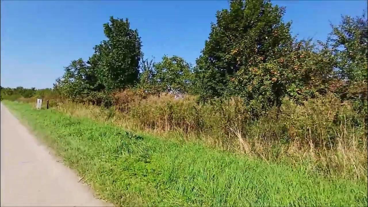 Wanderung ab Ahrbergen , Ahrberger Kiesteiche , Innerste Wehr bis