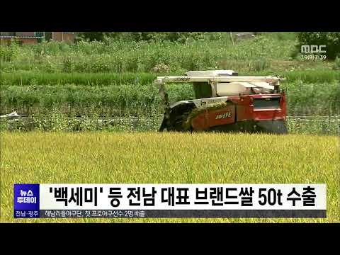 &amp;#39;백세미&amp;#39; 등 전남 대표 브랜드쌀 <strong>50t</strong> 수출[목포MBC 뉴스투데이]