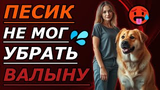 картинка: 🐶 Вечер с собакой, который Марина запомнит надолго