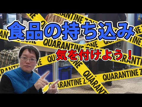 留学する時「食品の持ち込み」には気を付けて！日本から持ち込み不可能なモノを解説