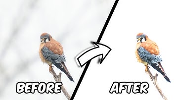 Easy High-Key Image Transformation