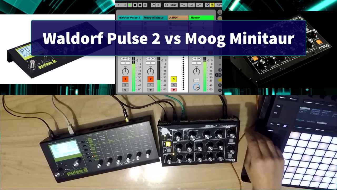 Waldorf Pulse 2とMoog Minitaurのいい比較を見つけたよ : r/synthesizers