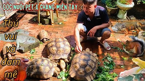 Góc nuôi Pet siêu khủng của A Chàng Miền Tây -Thái Salem vê lốc