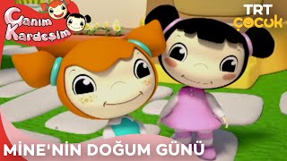 Canım Kardeşim - Mine'nin Doğum Günü